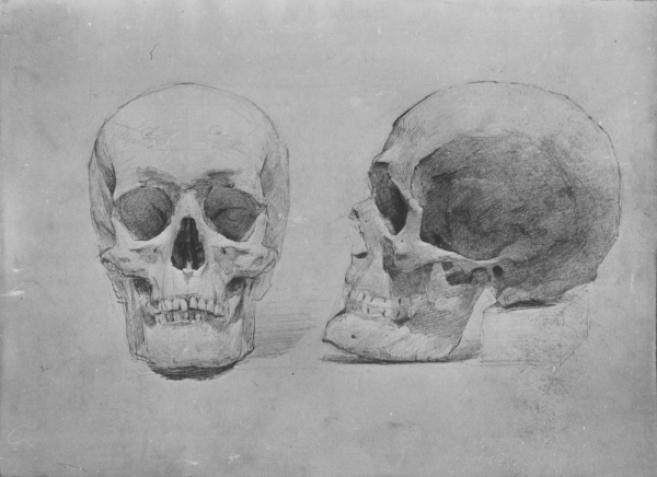 Академическое рисование черепа