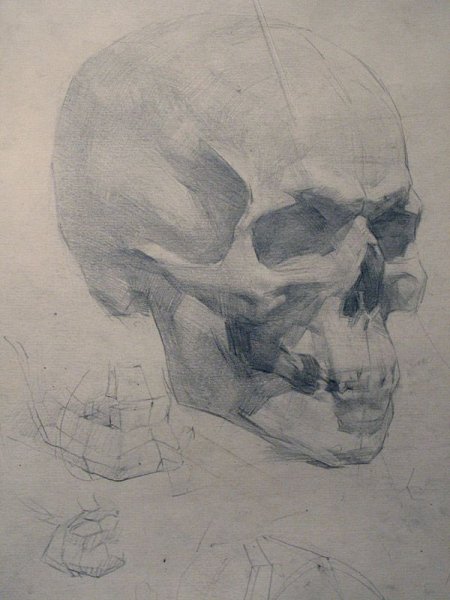 Череп человека Баммес