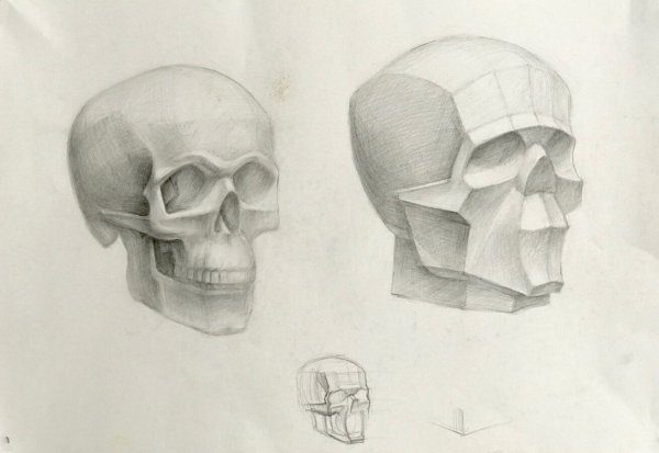 Академическое рисование черепа