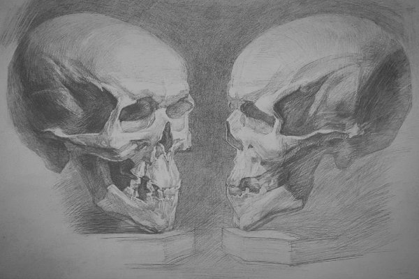 Череп Академический рисунок