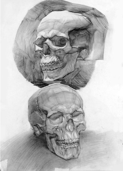 Конструктивное рисование черепа