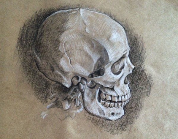 Череп гризайль