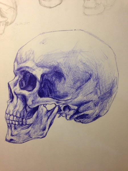 Череп гипс рисунок Академический