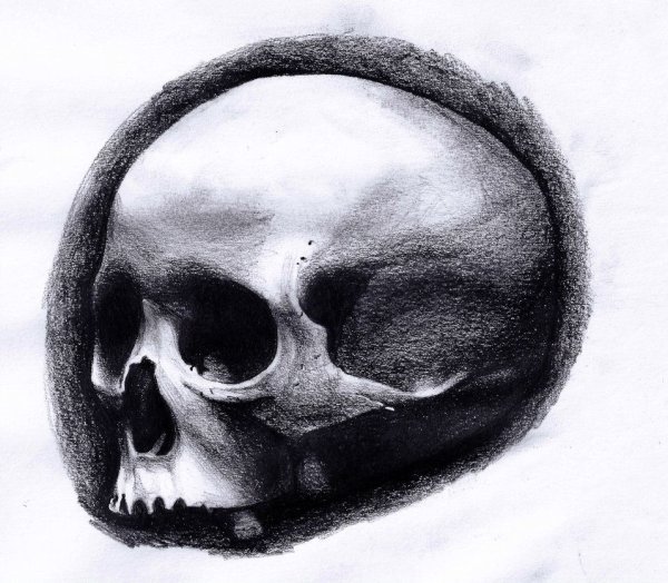 Череп тушью