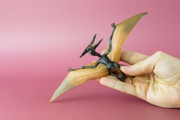 Птеродактиль вид сверху