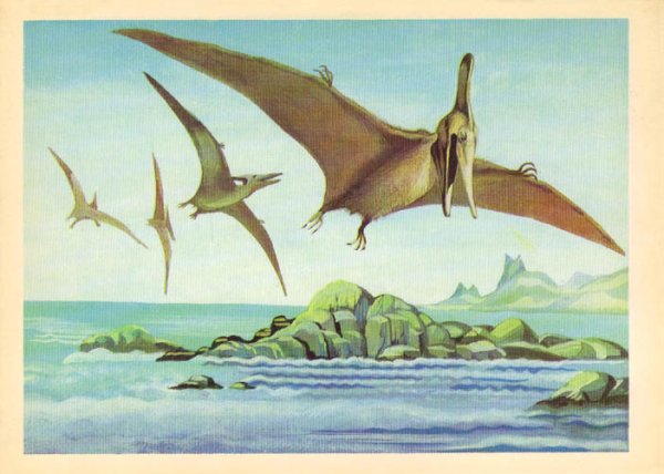 Птерозавры Триасового периода