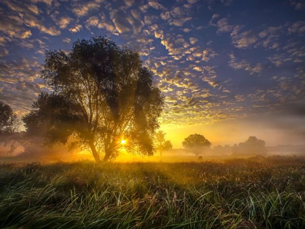 Красивый рассвет