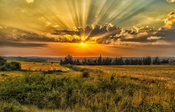 Закат в поле