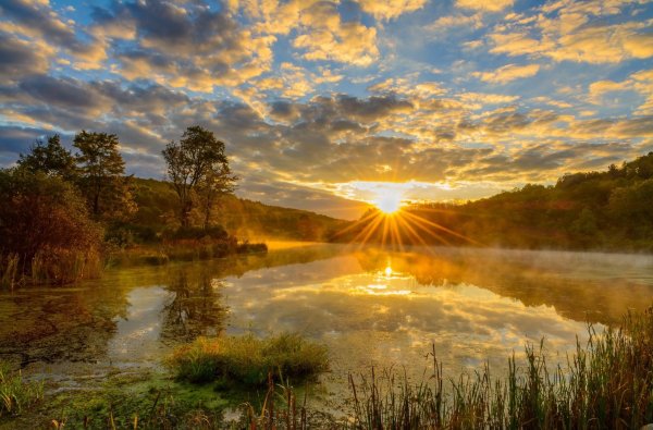 Украина природа утро