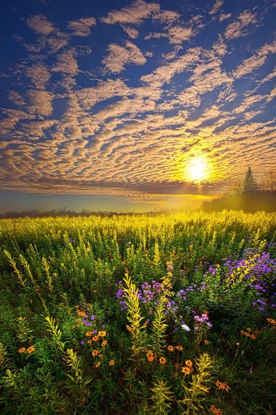 Красивый рассвет