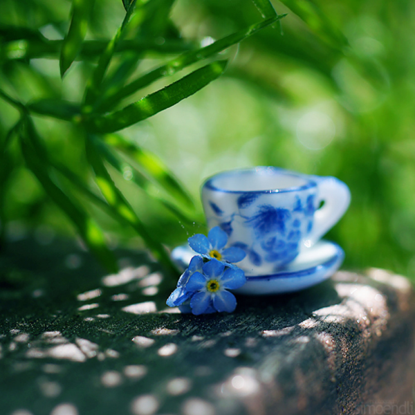 Голубое утро