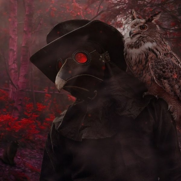 Plague Doctor и ворон