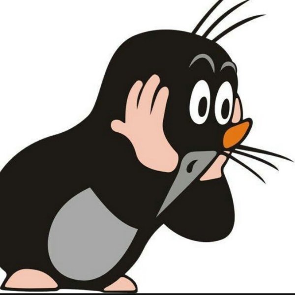 Крот Европейский обыкновенный