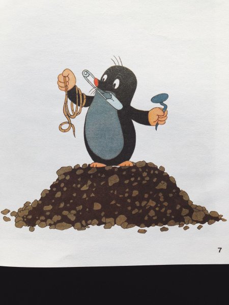 Восточноамериканский Крот