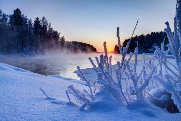 Зимняя природа
