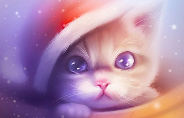 Милый котик арт в шапочке