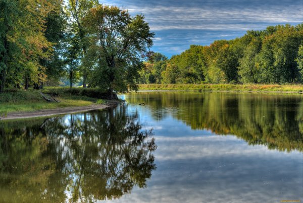 Ирпень лес река