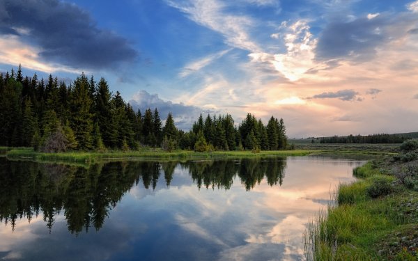 Белая Кедва заказник