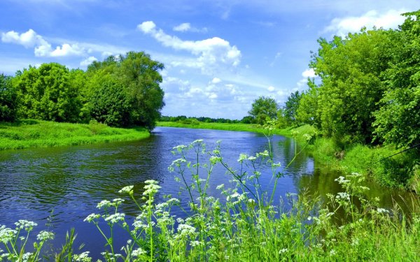 Природа река