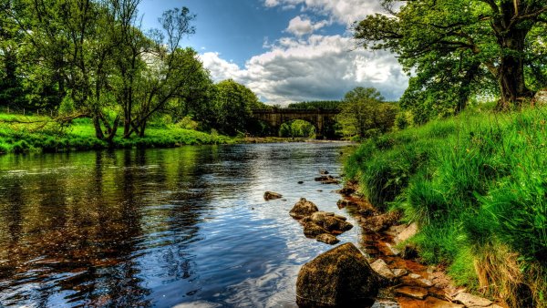 Красивая река