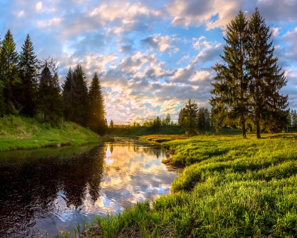 Лесные реки Ленинградской области