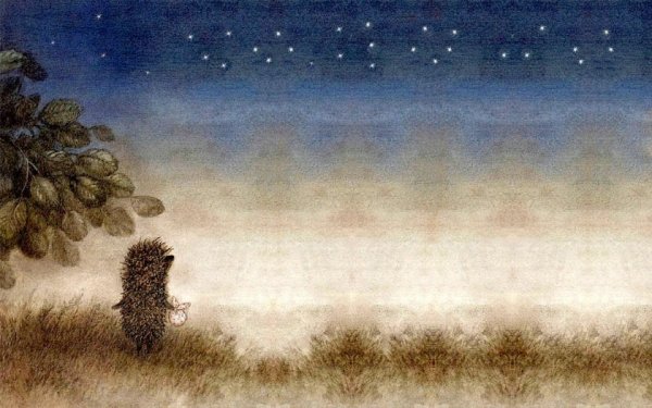 Чехол для телефона Ежик в тумане