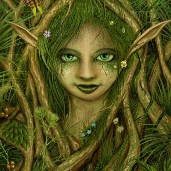 Кикимора Болотная Славянская мифология