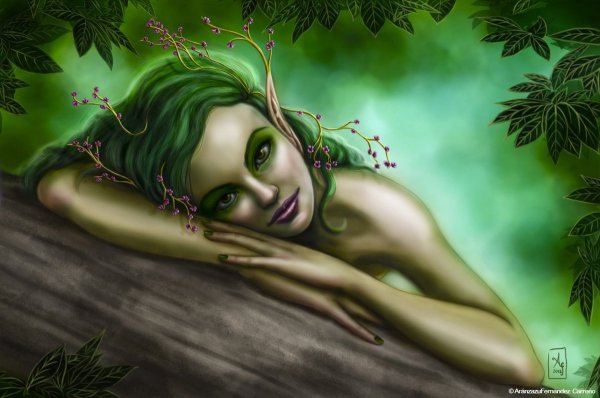 Кикимора Лесная картинки