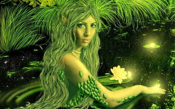 Кикимора животное