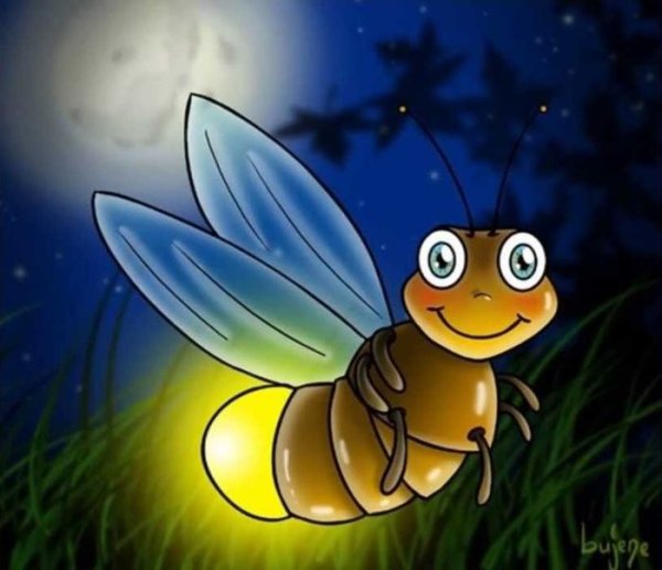 Мотыльки светлячки