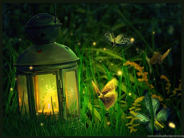 Светлячок с фонариком