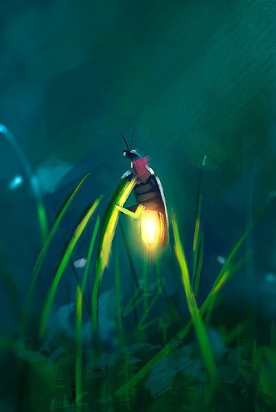 Пещерный Жук светляк