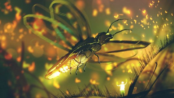 Пещерный Жук светляк