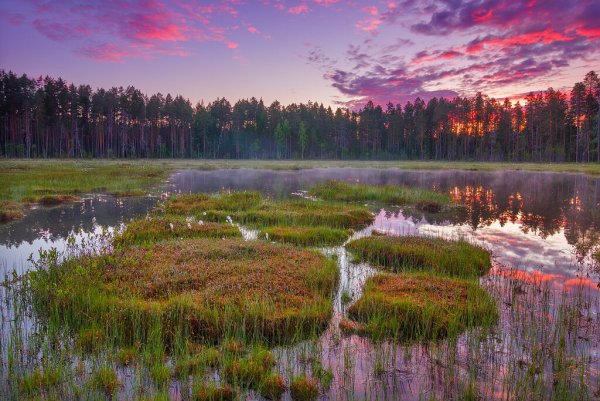 Озеро Кивач Карелия