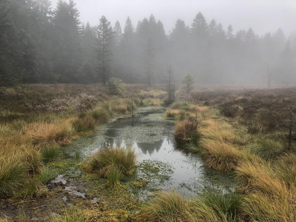 Болото Муклесаз