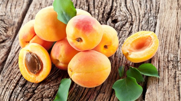 Абрикос Фармакогнозия