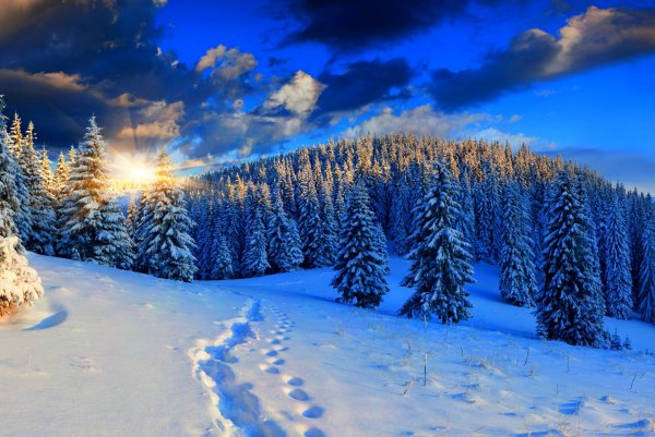 Зимняя природа
