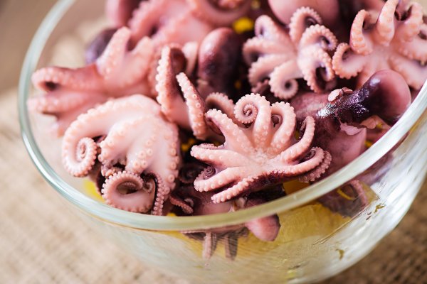 Каракатица морепродукт