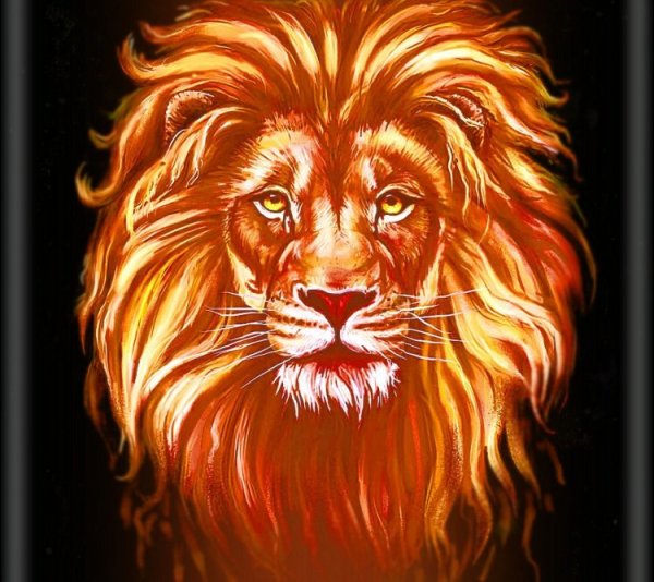 Картинки голова льва (47 фото)