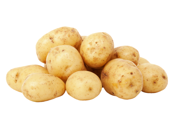 Картофель Триумф СЕДЕК