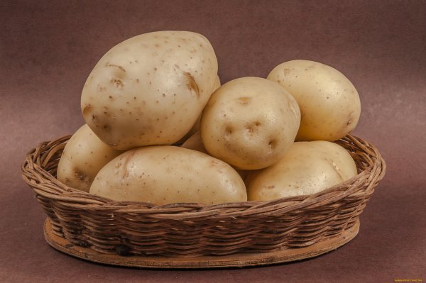 Продукты картошка