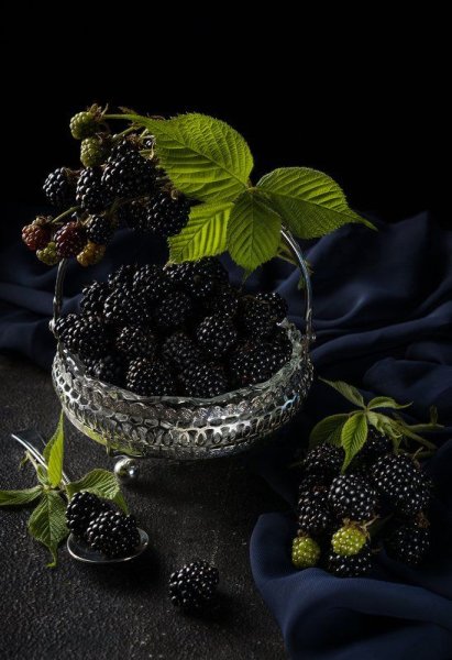 BLACKBERRY ежевика