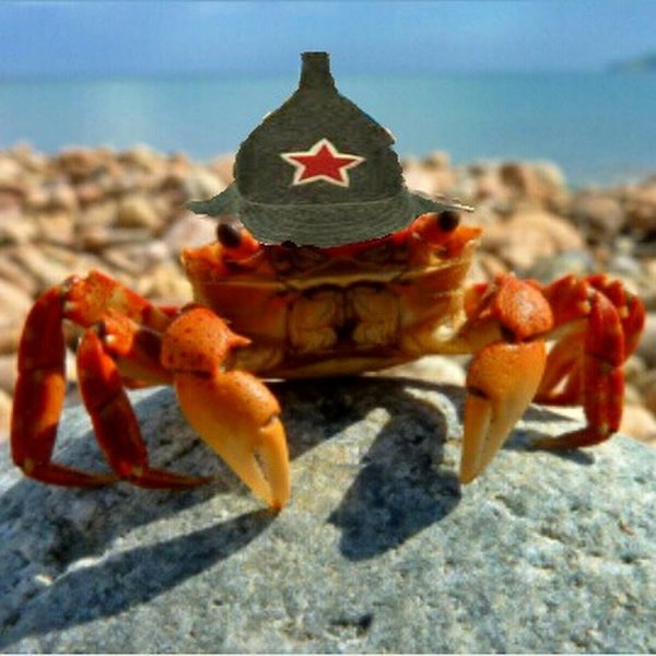 Краб на аву