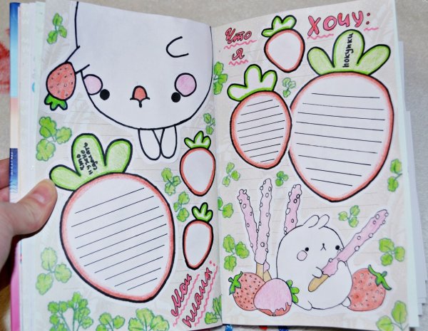 Оформление личного дневника