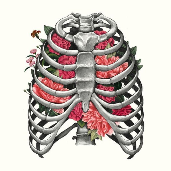 Грудная клетка с цветами