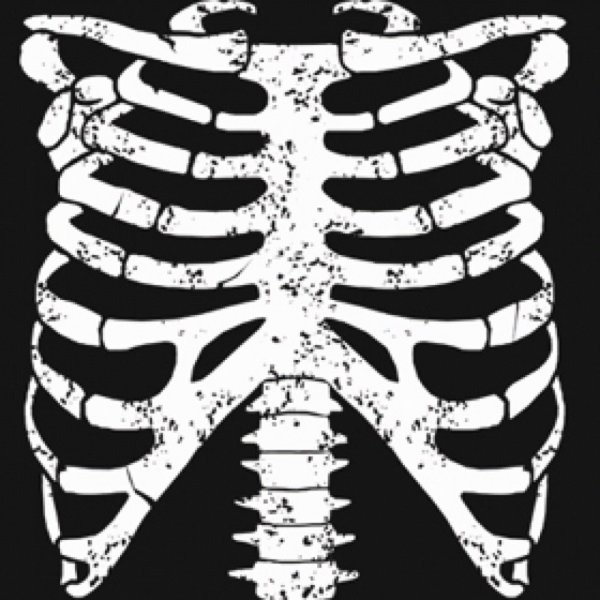 Грудная клетка с ключицами