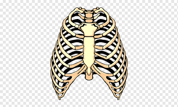 Ребра с цветами