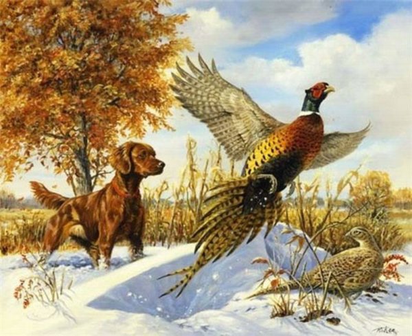 Охотничьи собаки на утку
