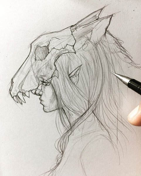 Рисунки карандашом