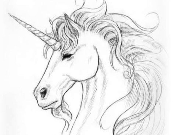 Рисунки карандашом